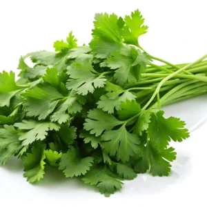 Coriander Bunch (Dhaniya Patta)-100g