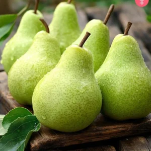 Pear(150g-250g)-2piece