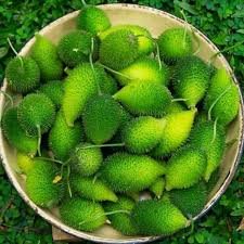 Spine gourd (কাঁকরোল)-250g