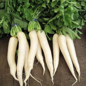 White Radish (সাদা মূলা)-500g