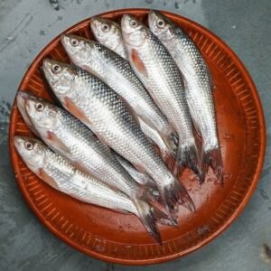 Bata Fish - 1 kg