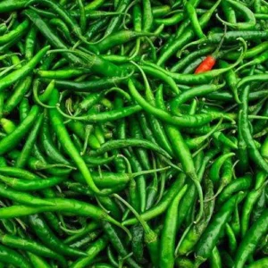 Green Chilli - 100 g